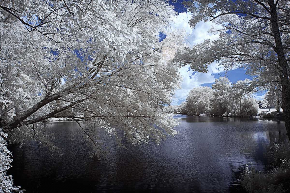 Walkerton Millpond I art print by Alan Hausenflock for $57.95 CAD