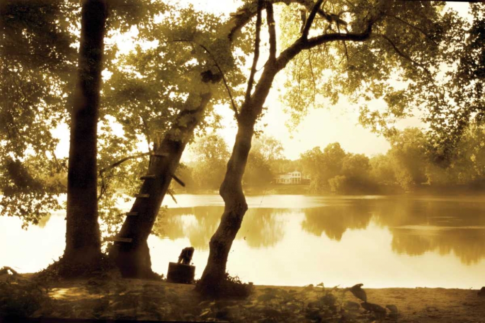 River Oaks I art print by Alan Hausenflock for $57.95 CAD