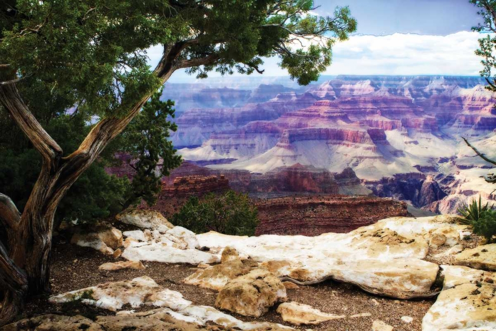 The Canyon I art print by Alan Hausenflock for $57.95 CAD