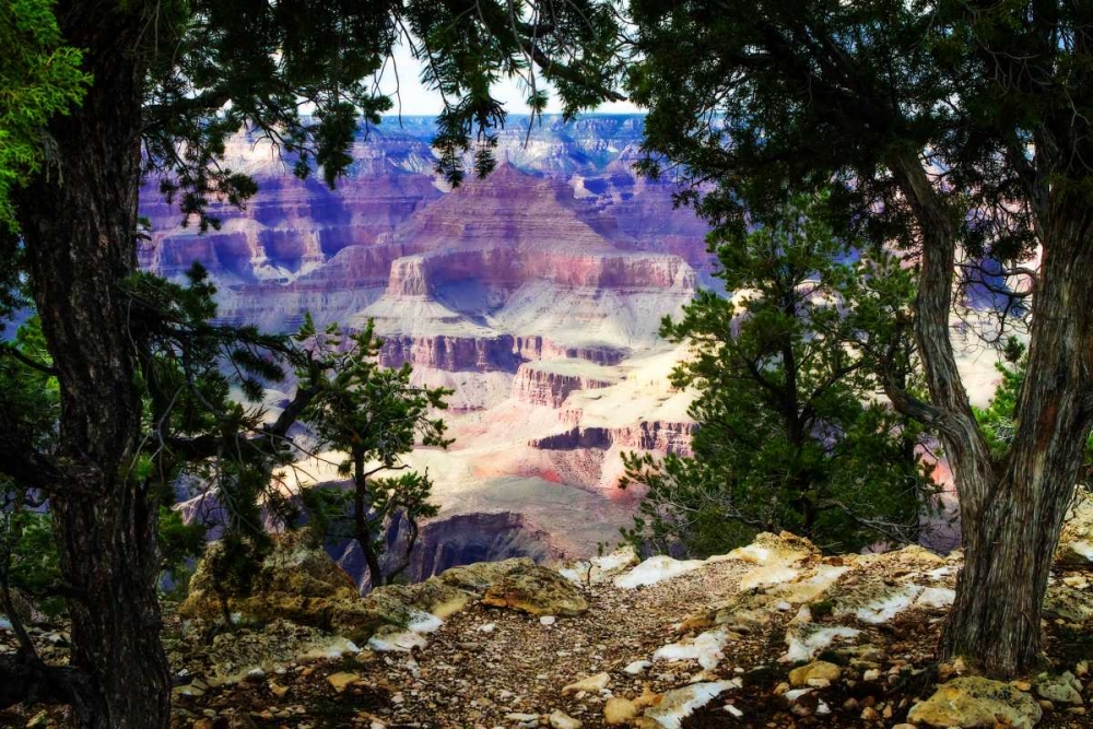 The Canyon II art print by Alan Hausenflock for $57.95 CAD