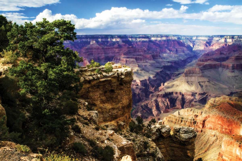 The Canyon III art print by Alan Hausenflock for $57.95 CAD