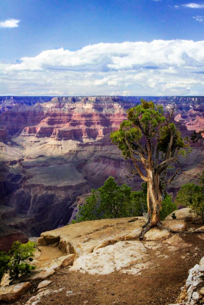 The Canyon Rim I art print by Alan Hausenflock for $57.95 CAD