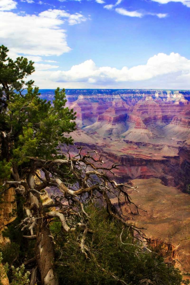 The Canyon Rim II art print by Alan Hausenflock for $57.95 CAD