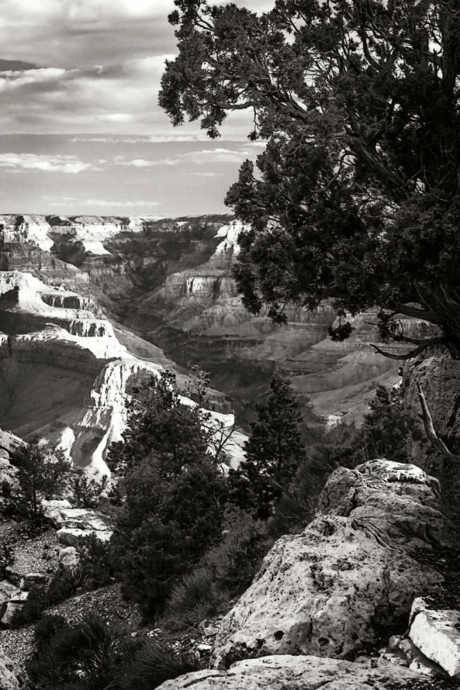 Canyon Gorge I art print by Alan Hausenflock for $57.95 CAD