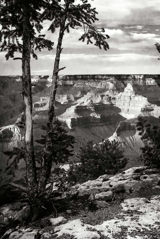 Canyon Gorge II art print by Alan Hausenflock for $57.95 CAD
