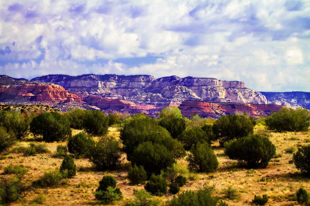 The High Desert I art print by Alan Hausenflock for $57.95 CAD