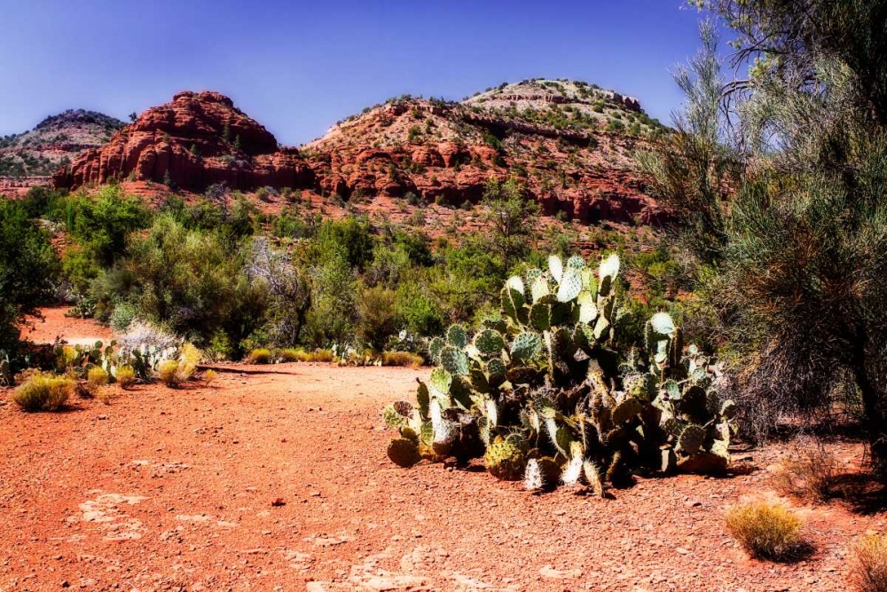 High Desert I art print by Alan Hausenflock for $57.95 CAD