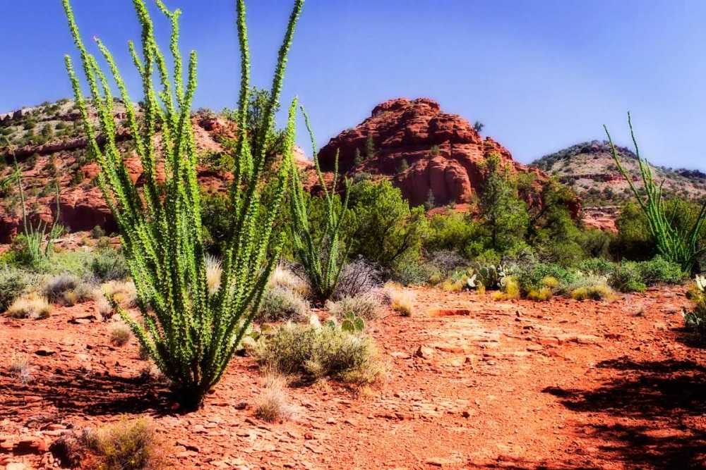 High Desert II art print by Alan Hausenflock for $57.95 CAD