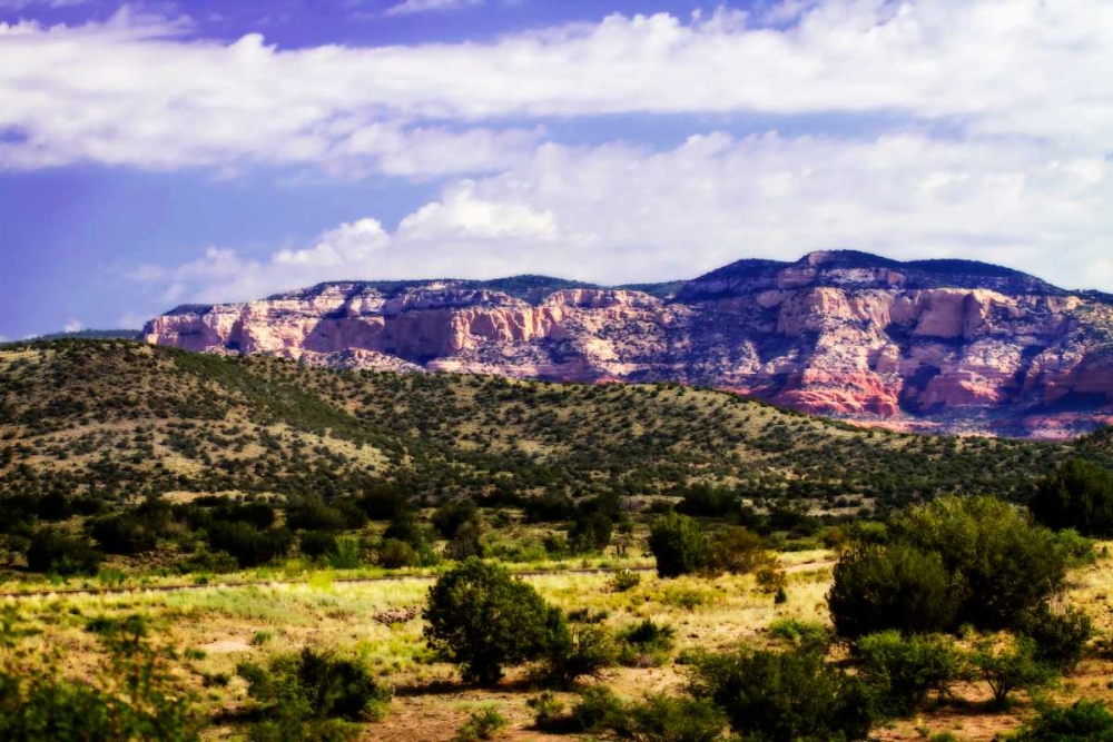 The High Desert II art print by Alan Hausenflock for $57.95 CAD