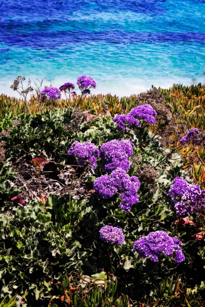 La Jolla Beach I art print by Alan Hausenflock for $57.95 CAD