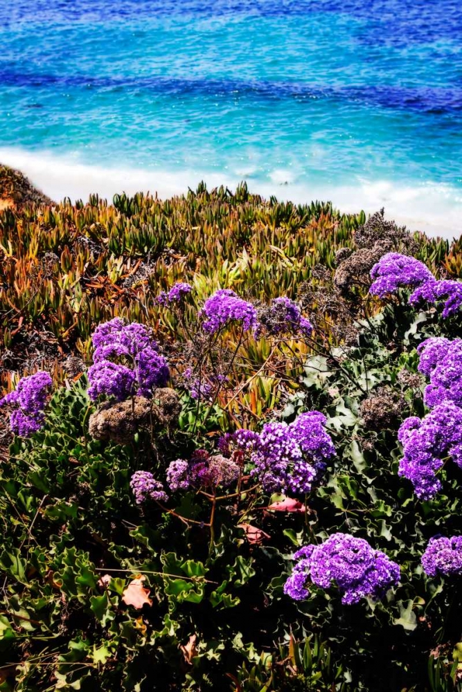 La Jolla Beach II art print by Alan Hausenflock for $57.95 CAD