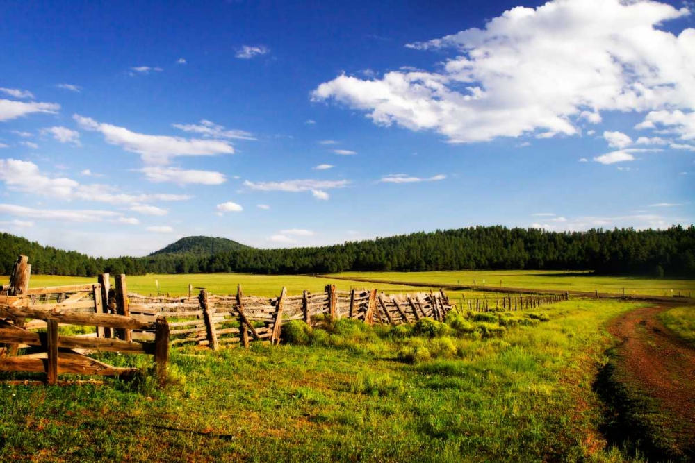 Big Sky Ranch I art print by Alan Hausenflock for $57.95 CAD