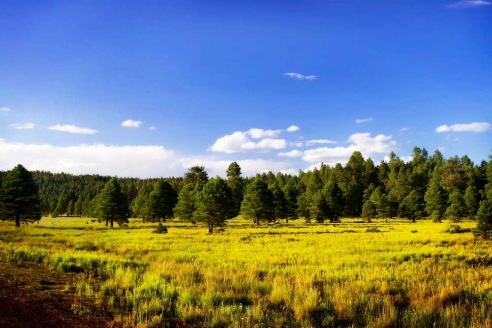 Big Sky Ranch II art print by Alan Hausenflock for $57.95 CAD