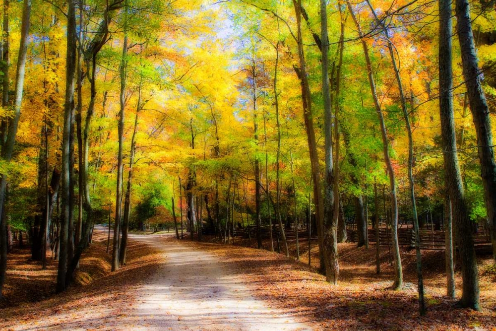 Goose Pond Lane I art print by Alan Hausenflock for $57.95 CAD