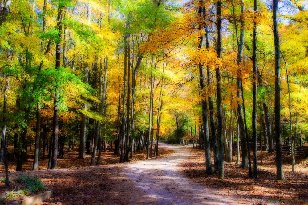 Goose Pond Lane II art print by Alan Hausenflock for $57.95 CAD