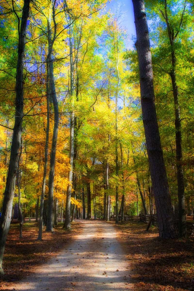 Goose Pond Lane III art print by Alan Hausenflock for $57.95 CAD