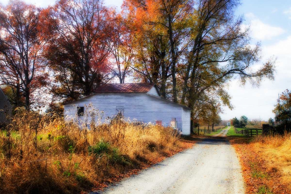 Little Eldon Road art print by Alan Hausenflock for $57.95 CAD