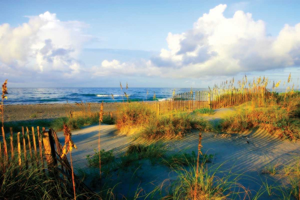 Dunes II art print by Alan Hausenflock for $57.95 CAD