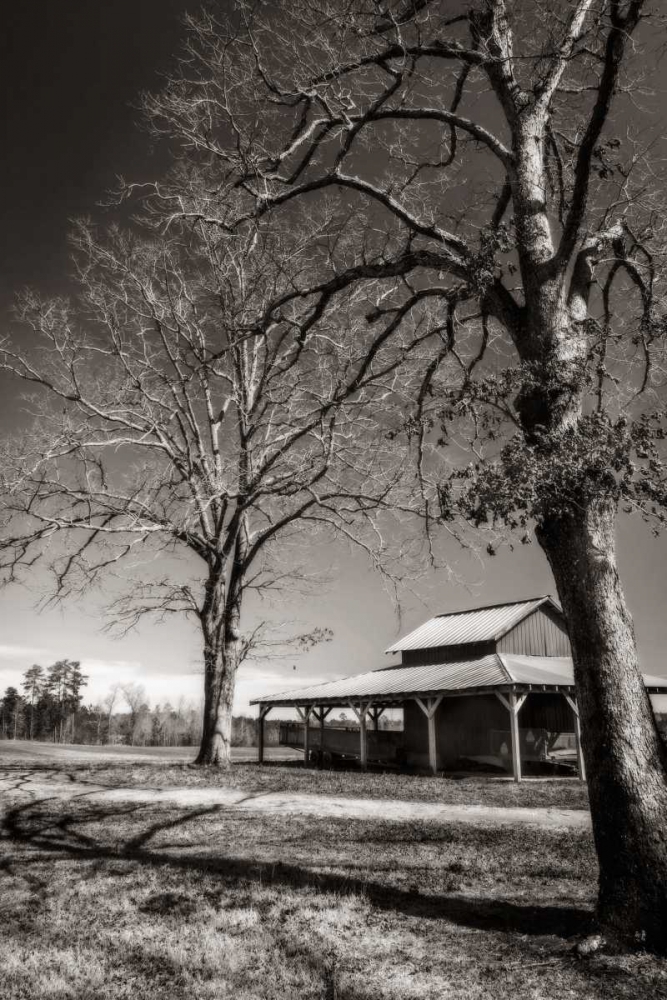 Lewiston Farm II art print by Alan Hausenflock for $57.95 CAD