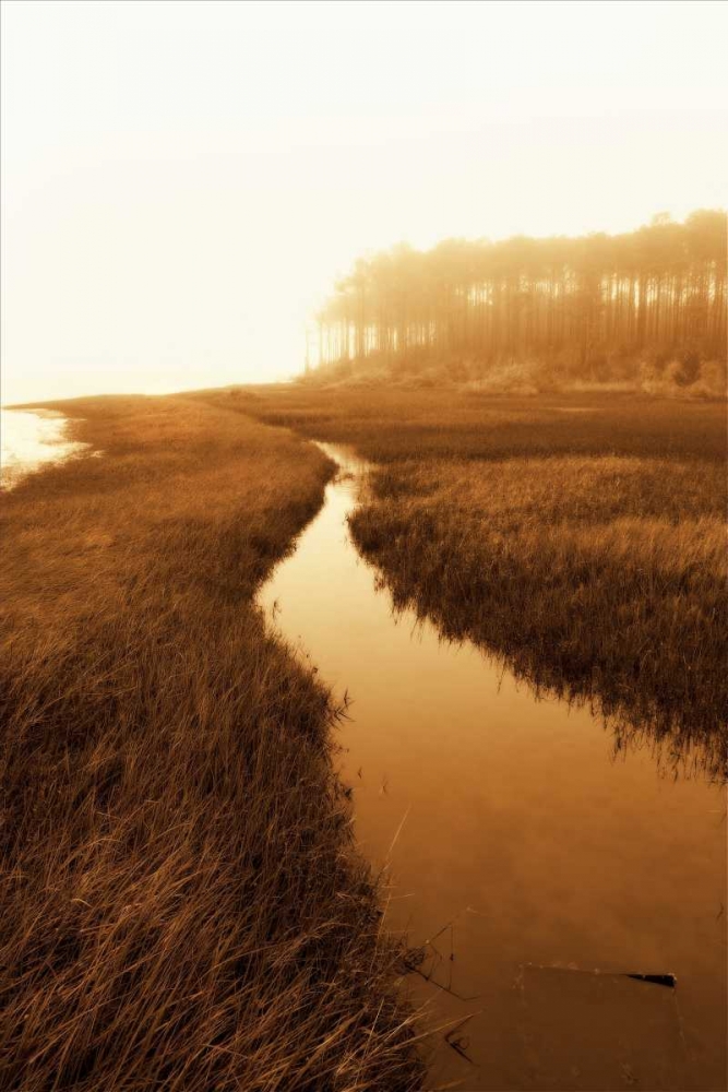 Harkers Island Marsh I art print by Alan Hausenflock for $57.95 CAD