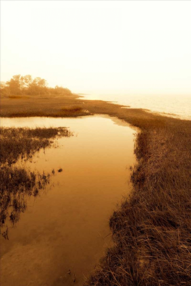 Harkers Island Marsh II art print by Alan Hausenflock for $57.95 CAD