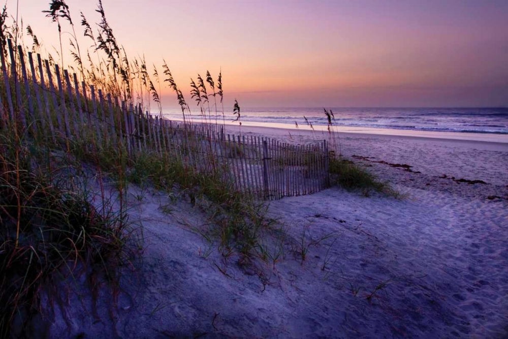 Lavender Beach I art print by Alan Hausenflock for $57.95 CAD
