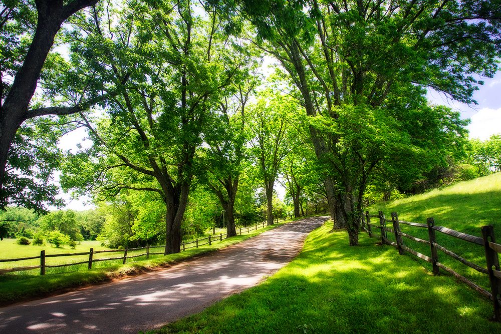 Virginia Byways III art print by Alan Hausenflock for $57.95 CAD