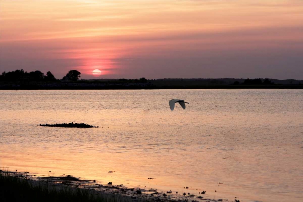 Sunset in the Marsh art print by Alan Hausenflock for $57.95 CAD