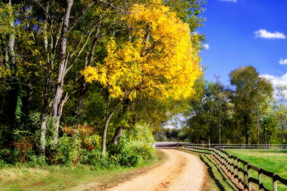Early Virginia Autumn art print by Alan Hausenflock for $57.95 CAD