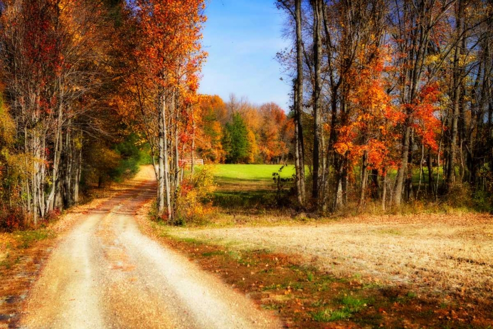 Late Virginia Autumn art print by Alan Hausenflock for $57.95 CAD