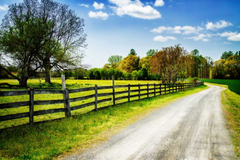 Spring on the Farm I art print by Alan Hausenflock for $57.95 CAD