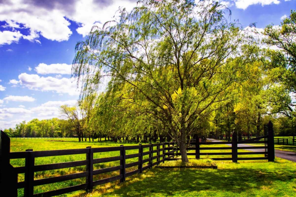 Spring on the Farm II art print by Alan Hausenflock for $57.95 CAD