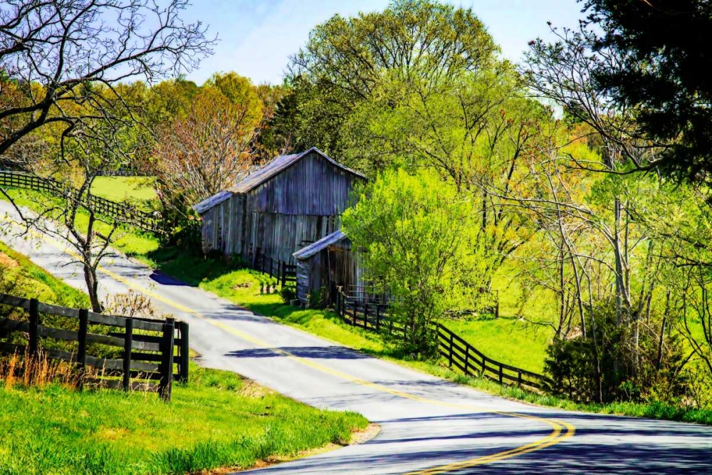 Winding Road art print by Alan Hausenflock for $57.95 CAD