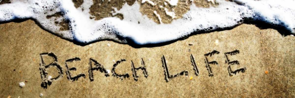 Beach Life art print by Alan Hausenflock for $57.95 CAD