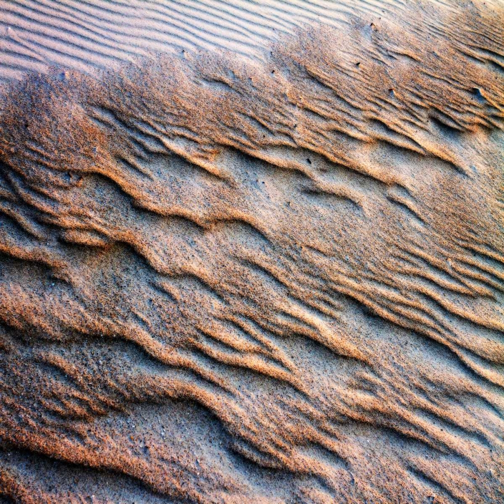Wind Sand and Water I art print by Alan Hausenflock for $57.95 CAD