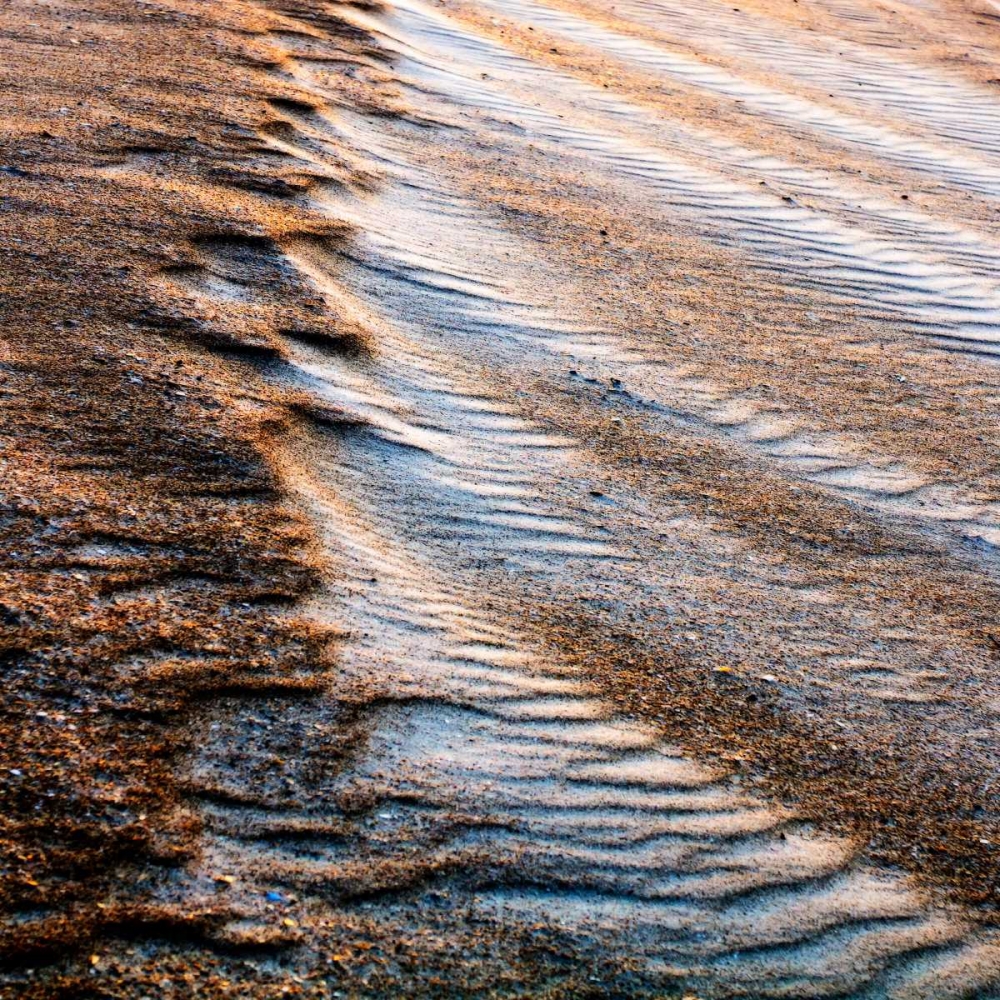 Wind Sand and Water IV art print by Alan Hausenflock for $57.95 CAD