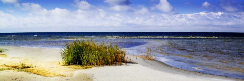 Cedar Island Beach I art print by Alan Hausenflock for $57.95 CAD