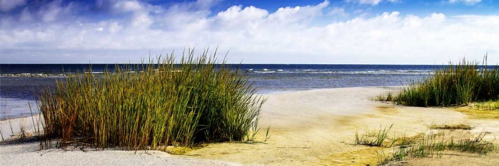 Cedar Island Bay II art print by Alan Hausenflock for $57.95 CAD