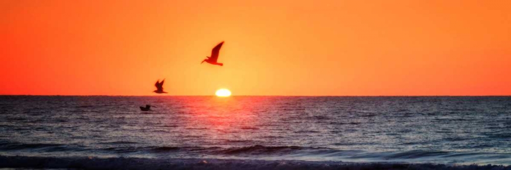 Masonboro Inlet Sunrise I art print by Alan Hausenflock for $57.95 CAD