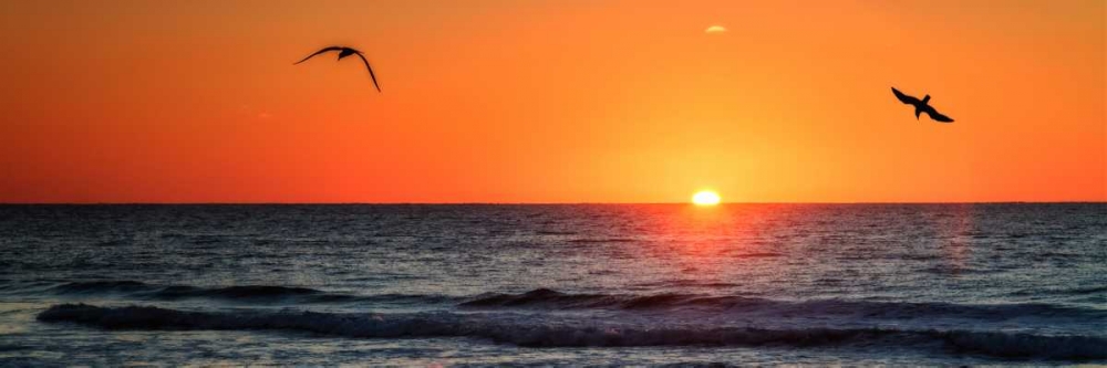 Masonboro Inlet Sunrise II art print by Alan Hausenflock for $57.95 CAD