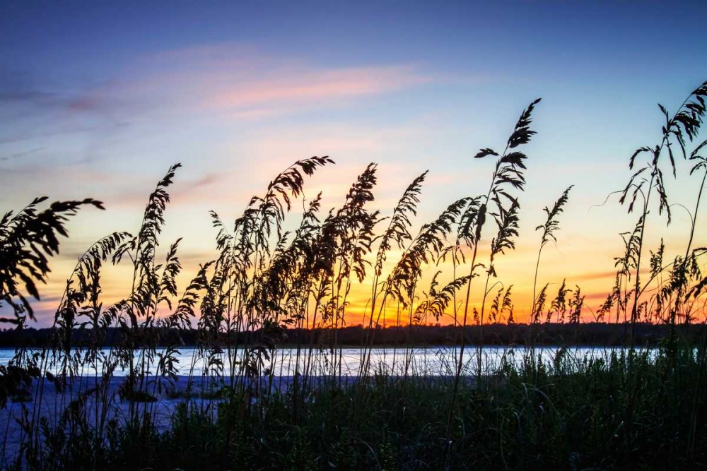 Masonboro Sunset I art print by Alan Hausenflock for $57.95 CAD