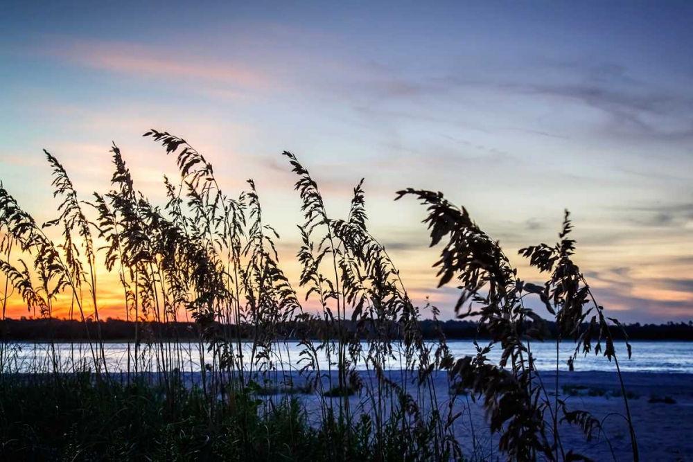 Masonboro Sunset II art print by Alan Hausenflock for $57.95 CAD