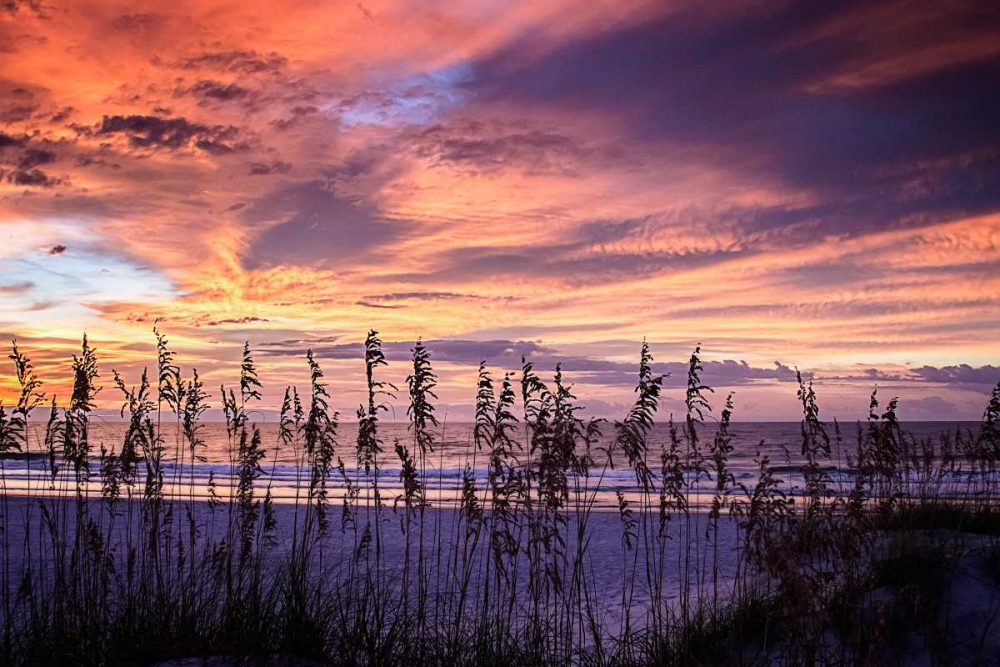 September Sunrise III art print by Alan Hausenflock for $57.95 CAD