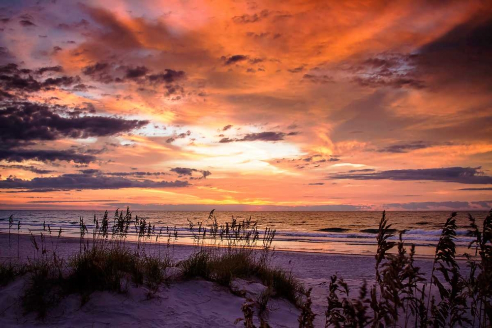 September Sunrise IV art print by Alan Hausenflock for $57.95 CAD