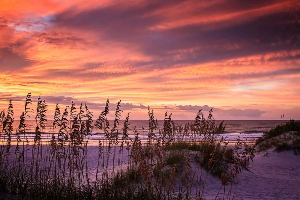 September Sunrise VI art print by Alan Hausenflock for $57.95 CAD