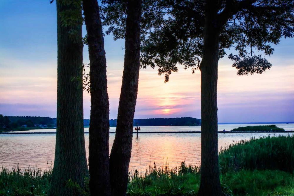 Cobb Island Sunset II art print by Alan Hausenflock for $57.95 CAD