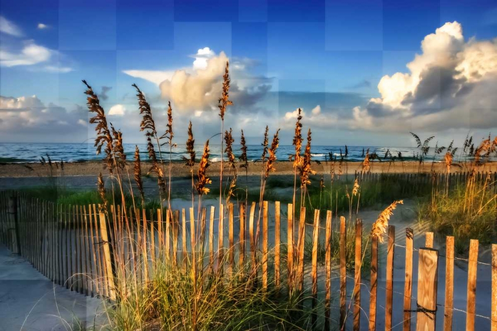 Morning On The Beach art print by Alan Hausenflock for $57.95 CAD