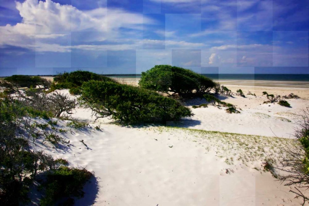 Windswept Beach art print by Alan Hausenflock for $57.95 CAD