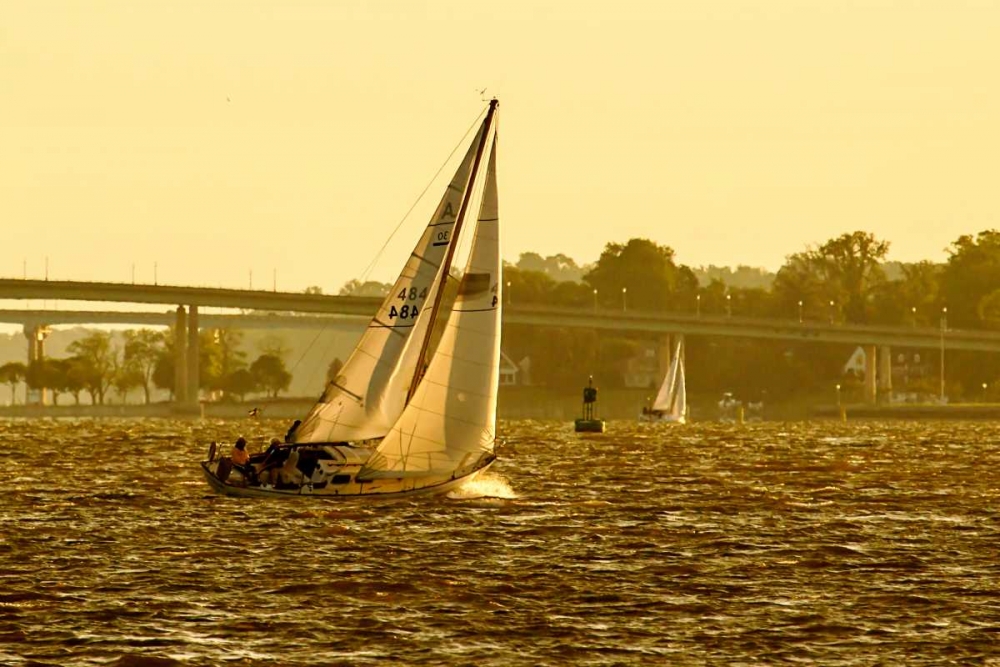 Severn River Sailing I art print by Alan Hausenflock for $57.95 CAD
