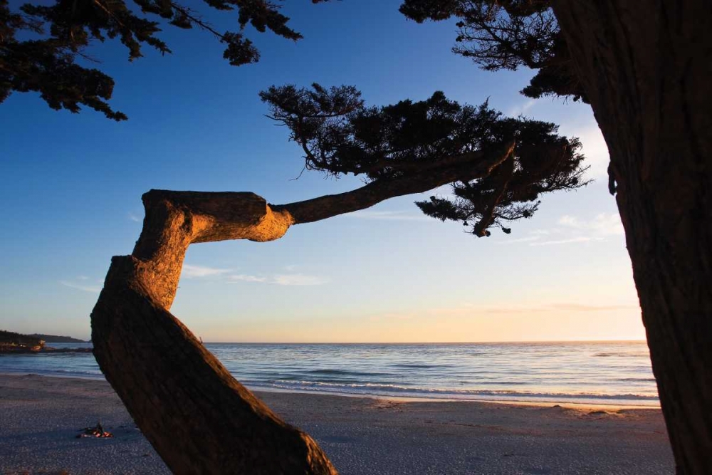 Carmel Sunset I art print by Alan Hausenflock for $57.95 CAD